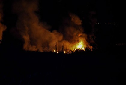 গ্রিসে কার্গো বিমান বিধ্বস্ত


