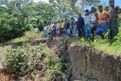 কলাপাড়ায় ভাঙন দেখা দিয়েছে বন্যা নিয়ন্ত্রণ বাঁধে 