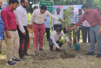 বরিশালে বৃক্ষরোপণ কর্মসূচির উদ্বোধন 
