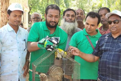 সেই বাগডাশটি ফিরে গেল বনে