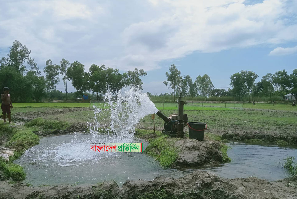 তীব্র তাপদাহ: আগাম জাতের রোপা আমন খেত ফেটে চৌচির