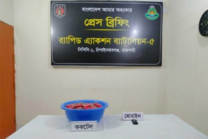 গাছের নিচে মিললো ২৭ ককটেল, গ্রেফতার ১

