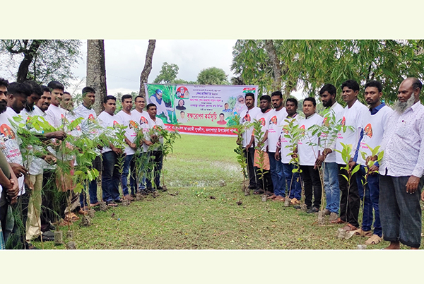 কলাপাড়ায় বৃক্ষরোপণ কর্মসূচীতে মাঠে নেমেছে যুবলীগ