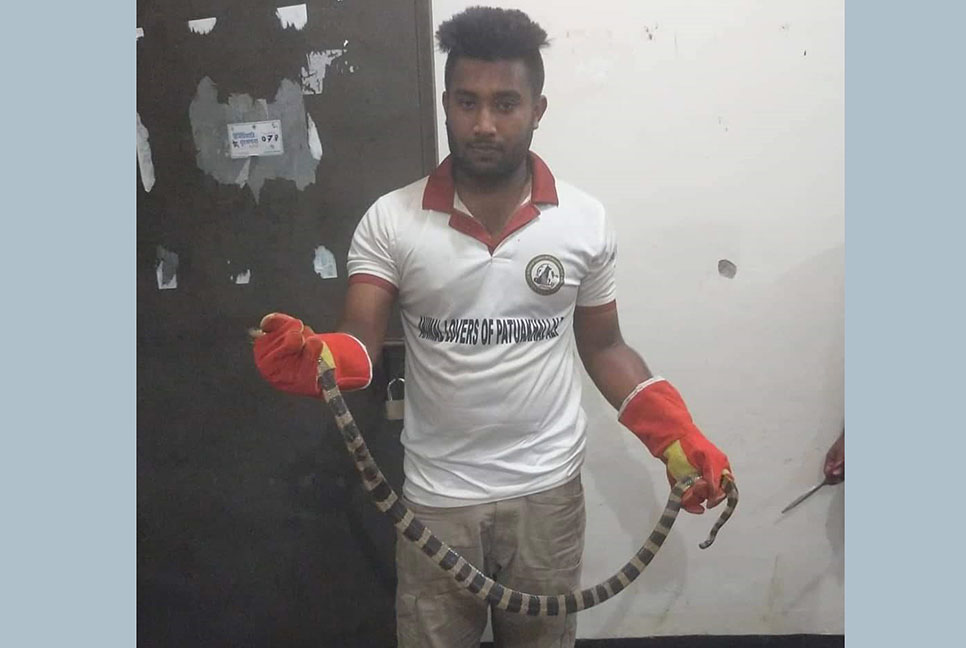 জালে পেঁচানো বিরল প্রজাতির সাপ উদ্ধার