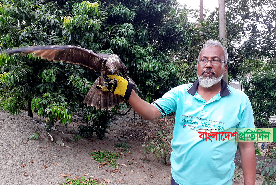 শঙ্খ চিলের সাথে দুই ঈদ!
