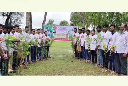 কলাপাড়ায় বৃক্ষরোপণ কর্মসূচীতে মাঠে নেমেছে যুবলীগ