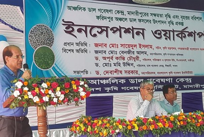 মাদারীপুরে ডাল ফসলের উৎপাদন বৃদ্ধির জন্য প্রকল্প গ্রহণ
