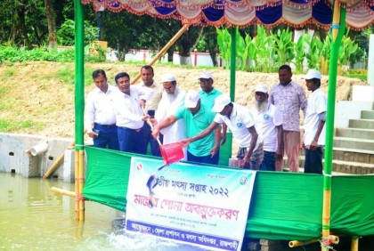 রাজশাহীতে মৎস্য সপ্তাহ উপলক্ষে মাছের পোনা অবমুক্তকরণ