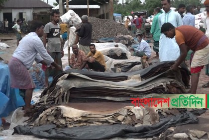 টাঙ্গাইলে চামড়ার ন্যায্যমূল্য না পেয়ে হতাশ মৌসুমী ব্যবসায়ীরা