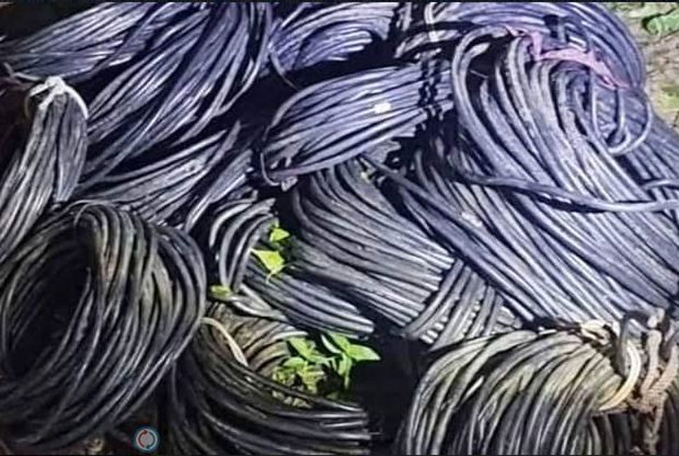 বরিশাল থেকে চুরি হওয়া তার ঝালকাঠির পুকুর থেকে উদ্ধার