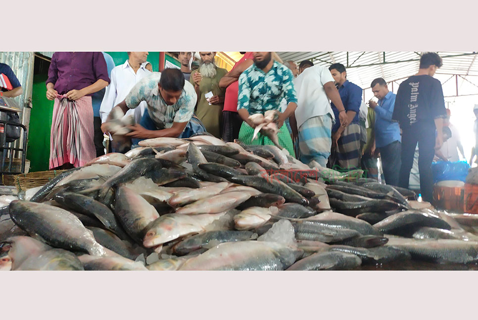 সামুদ্রিক ইলিশে সয়লাব বরিশালের মোকাম 