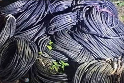 বরিশাল থেকে চুরি হওয়া তার ঝালকাঠির পুকুর থেকে উদ্ধার
