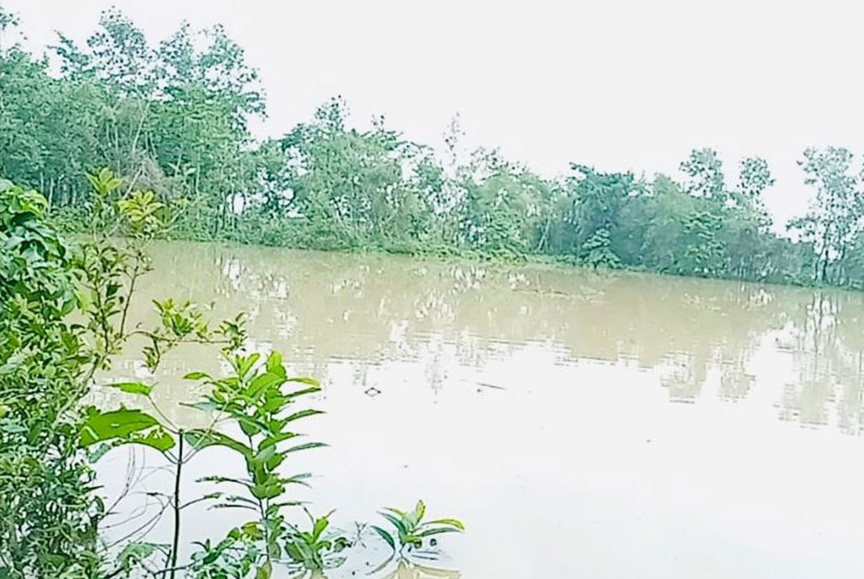 বিশ্বনাথে মৎস্য সম্পদে ক্ষতি সাড়ে ৩ কোটি টাকা