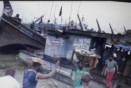 ইলিশে সরগরম চাঁদপুর মাছঘাট