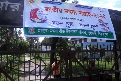 জনবলসহ নানা সংকটে পুলহাট মৎস্য বীজ খামার