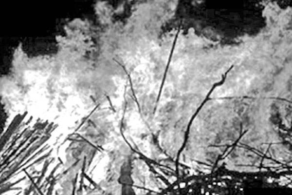 এক রাতে সাত বাড়িতে অগ্নিসংযোগ