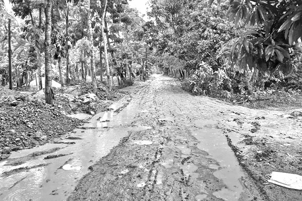 এক রাস্তায় দুর্ভোগ ১০ গ্রামের মানুষের