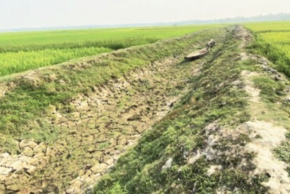 তীব্র খরায় বিপাকে কৃষক ও চিংড়ি চাষিরা