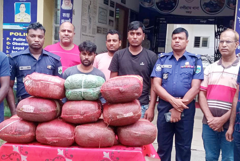 
বগুড়ায় ৫০ কেজি গাঁজাসহ আটক ২