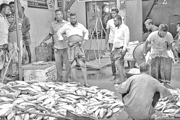 ইলিশে সরগরম মহিপুর