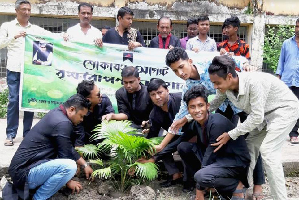 শোকাবহ আগস্টে লক্ষ্মীপুরে তাল গাছের চারা রোপণ