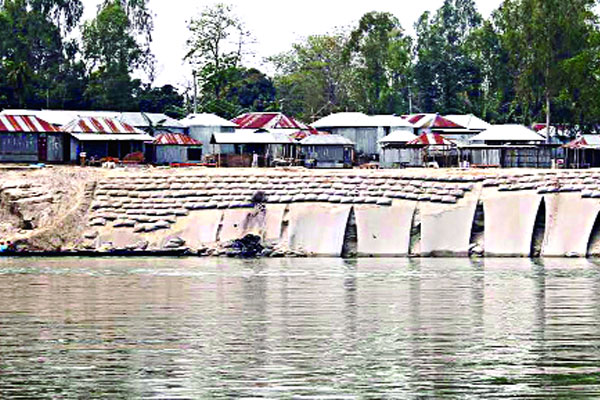 ভাঙনে দিশাহারা তিস্তাপাড়ের মানুষ