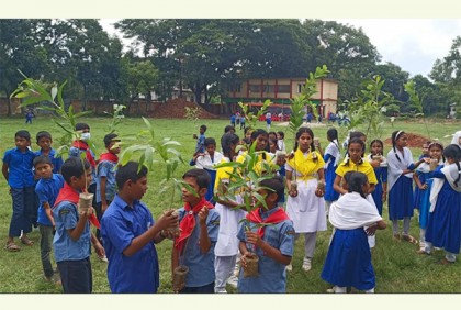 ৯০ স্কুলের ১৫ সহস্রাধিক শিক্ষার্থীর হাতে হাতে গাছ