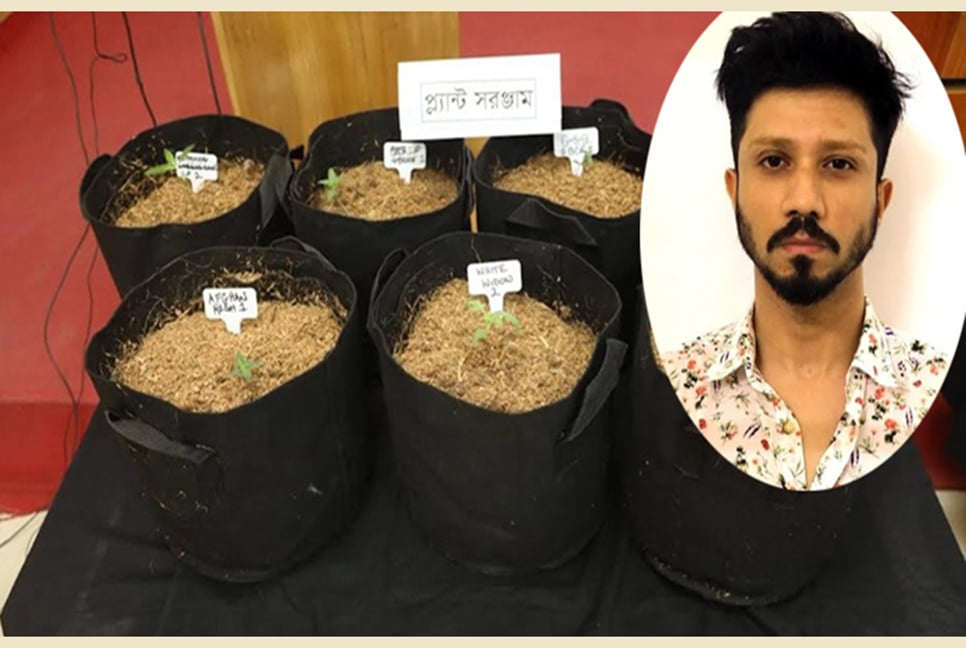 ‘মাদক গবেষক’কে গ্রেফতারের দাবি র‌্যাবের

