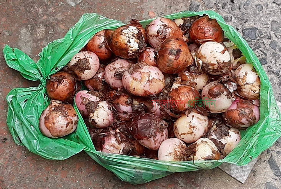 টিসিবিতে পচা পিয়াজ দেওয়ার অভিযোগ