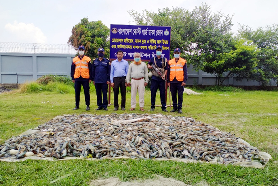 চাঁদপুরে ৬০০ কেজি জেলিযুক্ত চিংড়ি জব্দ