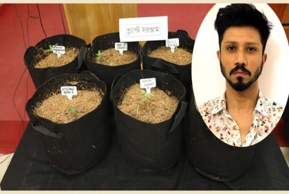 ‘মাদক গবেষক’কে গ্রেফতারের দাবি র‌্যাবের

