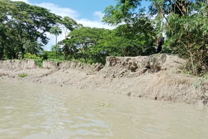 গলাচিপায় নদী ভাঙনে বিলীন হচ্ছে তিন গ্রাম