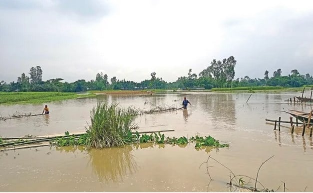 তিস্তার পানি কমলেও দুর্ভোগ কমেনি