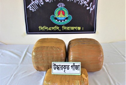 সিরাজগঞ্জে ১৪ কেজি গাঁজাসহ মাদক ব্যবসায়ী আটক