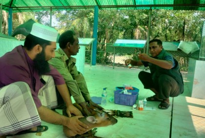 বাঘের থাবায় আহত হরিণ লোকালয়ে, সুস্থ করে ফেরানো হল বনে