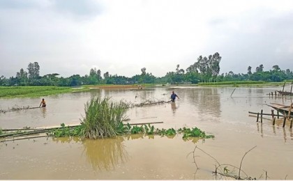 তিস্তার পানি কমলেও দুর্ভোগ কমেনি