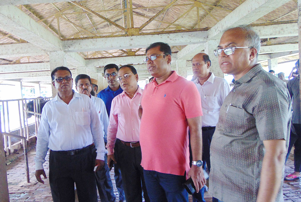 বাগেরহাটে প্রাণীসম্পদ সচিবের সরকারি মহিষ খামার পরিদর্শন