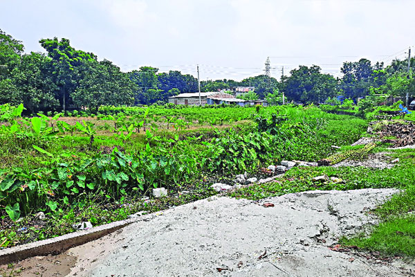 ২৫ কোটি টাকার খাল এখন ময়লার ভাগাড়