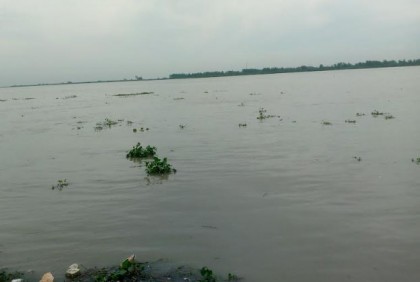 বগুড়ায় যমুনা নদীর পানি বৃদ্ধি