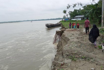 কুড়িগ্রামে নদ-নদীর পানি বেড়ে ভাঙন শুরু 