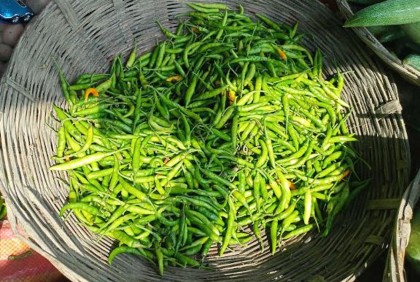 নাগালের বাইরে কাঁচা মরিচের ঝাল 