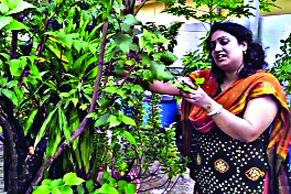বৃক্ষপ্রেমী রাখী দে