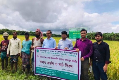 ব্রি ৪৮ জাতের ধান প্রদর্শনীর মাঠ দিবস পালন