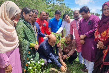 কিশোরগঞ্জে কৃষক লীগের বৃক্ষরোপণ কর্মসূচি