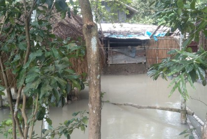 উত্তাল সাগর, বরগুনায় জোয়ারের পানিতে বসত বাড়িসহ নিম্নাঞ্চল প্লাবিত