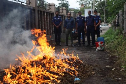 নারায়ণগঞ্জে বিপুল পরিমাণ মাদক ধ্বংস