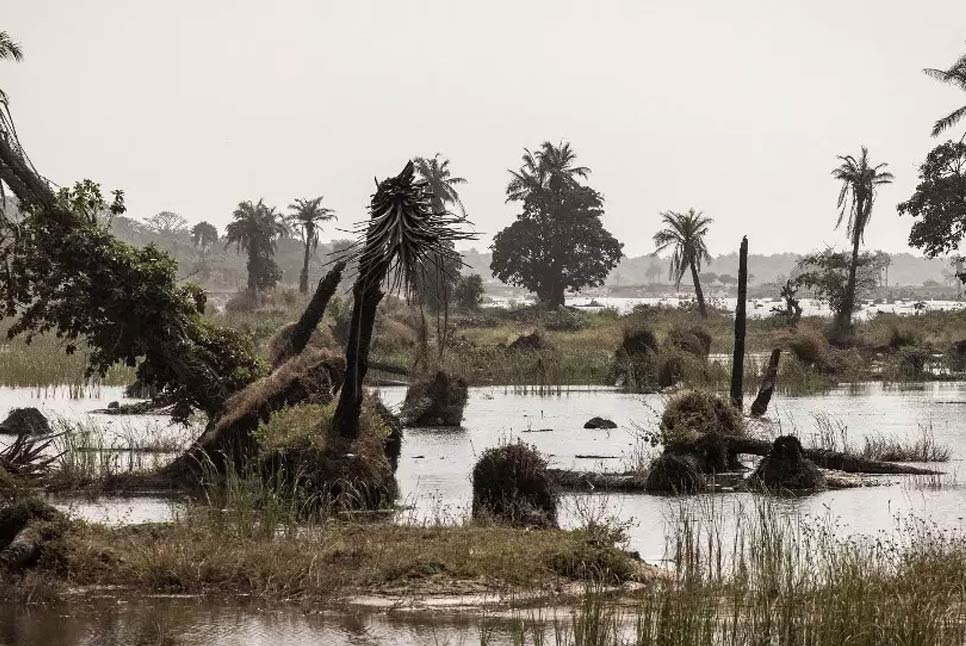 গাম্বিয়ায় ভয়াবহ বন্যায় ১১ জনের প্রাণহানি