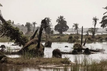 গাম্বিয়ায় ভয়াবহ বন্যায় ১১ জনের প্রাণহানি