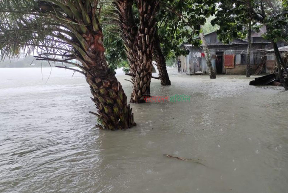 পটুয়াখালীতে বৃষ্টি ও জোয়ারের পানিতে তলিয়ে গেছে নিম্নাঞ্চল