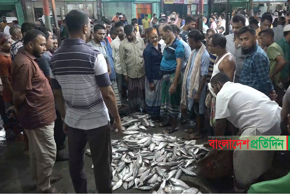 ভরা মৌসুমেও ইলিশ শূন্য বরিশাল মোকাম, ৩০ বছরে দামের রেকর্ড